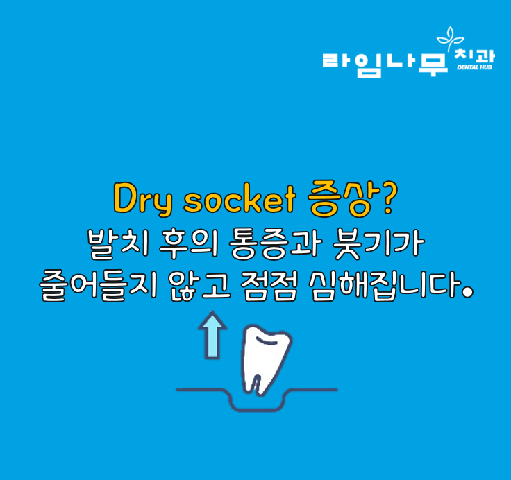 사랑니발치 후유증 드라이소켓! 명동치과 라임나무가 알려드려요 관련 이미지 3