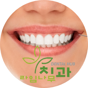 8월15일 광복절, 아프기 전에 명동치과 야간진료 받아요! 관련 이미지 4