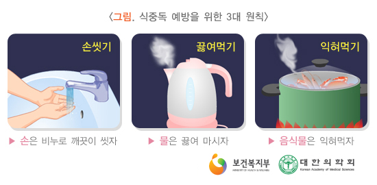 식중독 증상 완화 방법, 무조건적 약 복용보다는 원인 파악해 대처 관련 이미지 2