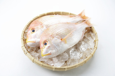 [명동치과]2월 제철 해산물, 제철 음식 드시고 건강 챙기세요 관련 이미지 2