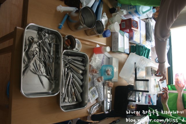 따듯한 사랑을 나눕니다. 라임나무치과 in 영등포 장애인 사랑의 집 의료봉사활동 記 관련 이미지 6
