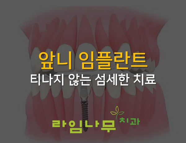 앞니 임플란트 후기 티나지 않아요 명동치과 라임나무 관련 이미지 1