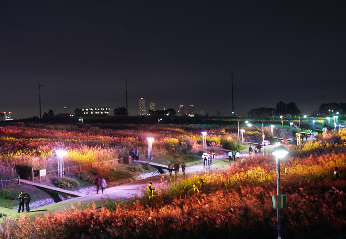 [명동치과]10월 축제 정보, 다양한 축제 알아보고 결정하세요 관련 이미지 2