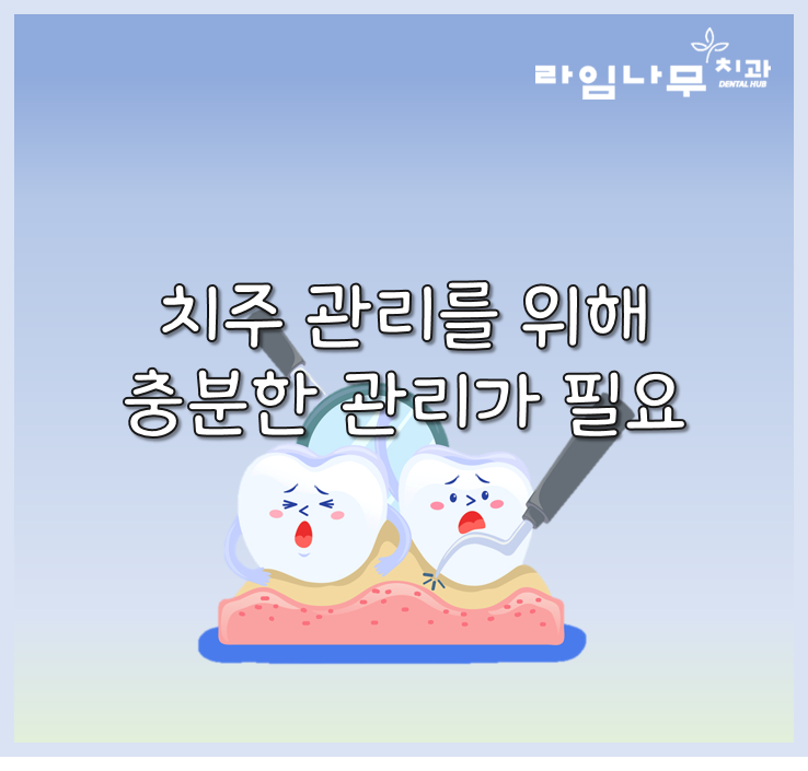 청소년, 성인 시기의 치아 관리법 중요한것은? 명동치과 라임나무 관련 이미지 5