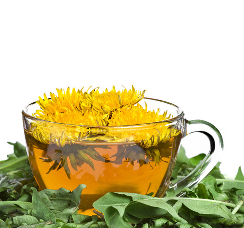 [명동치과 라임나무]계절별 마시기 좋은 차, 어떤 것들이 있을까요 관련 이미지 2