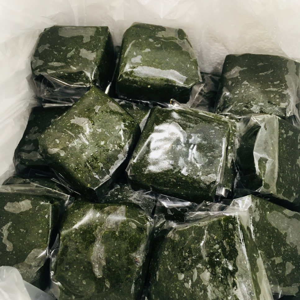 명동치과 라임나무의 8월!!!! 무슨 일들이 있었을까요? :] 관련 이미지 11