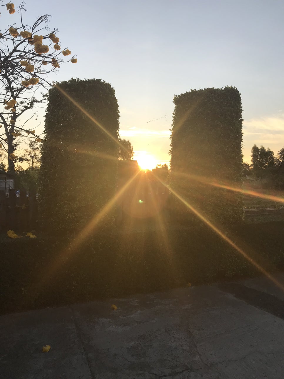 김인수 대표원장님과 함께하는 한톨 청소년 봉사단 태국 봉사활동 관련 이미지 6