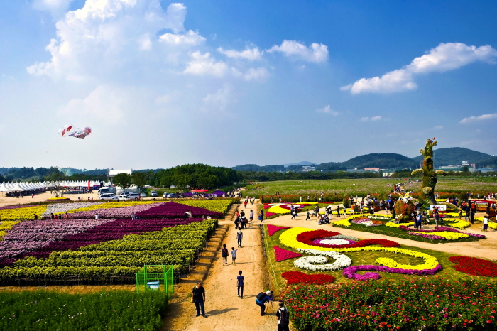 [명동치과]10월 축제 정보, 다양한 축제 알아보고 결정하세요 관련 이미지 3