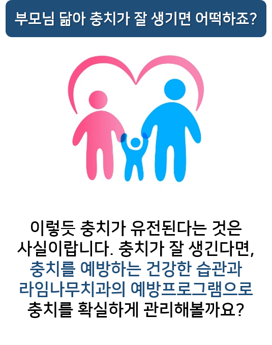 충치도 유전이 되나요? 충치예방프로그램 명동치과 라임나무 관련 이미지 4