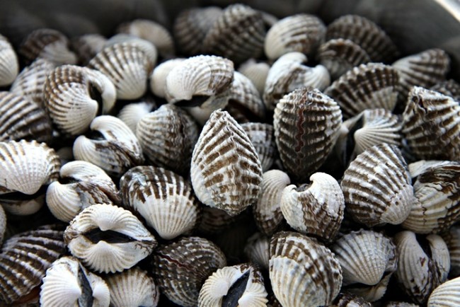 [명동치과]3월 제철음식, 어떤 것들이 있는지 알아볼까요 관련 이미지 5