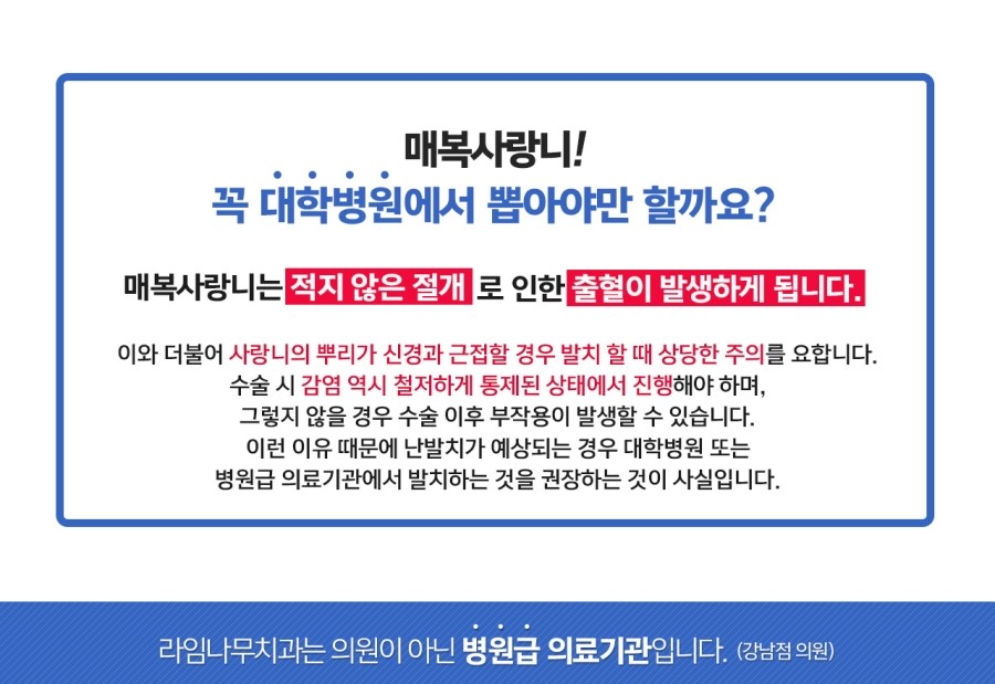 명동사랑니발치 라임나무치과에서 안전하고 편안하게 관련 이미지 2