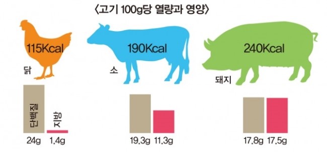 단백질 섭취 가이드, 하루에 체중 0.1%가 좋다고 합니다 관련 이미지 2