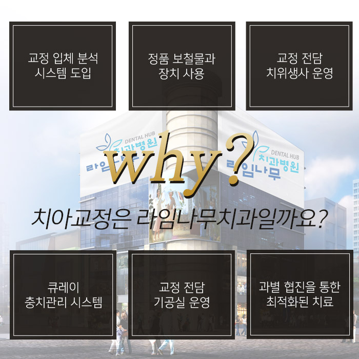 명동치과 라임나무 무턱교정 효과! 증례로 알아봐요 관련 이미지 7