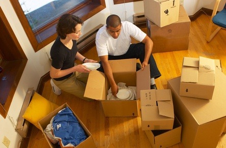 [명동치과 라임나무]이사 준비 체크리스트 무엇을 준비해야 할까요 관련 이미지 3