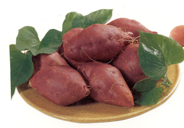 [명동치과 라임나무]고구마 찌는 법, 다이어트에도 좋은 고구마 많이 드세요 관련 이미지 2