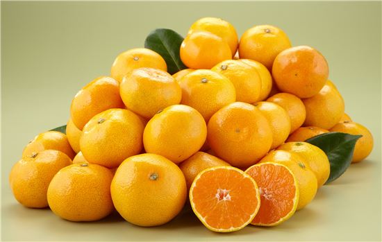 [명동치과]귤 칼로리, 얼마나 되는지 알아봤어요 관련 이미지 1