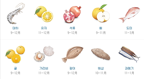 [명동치과]11월 제철음식, 어떤 것들이 있을까요? 관련 이미지 1