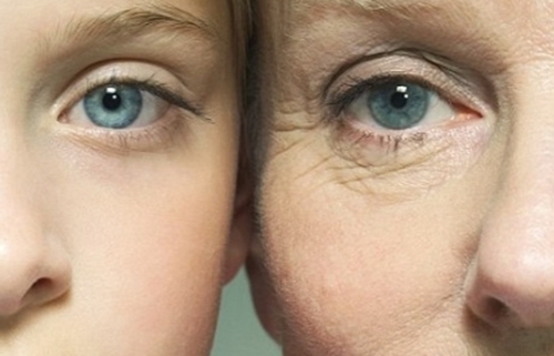 [명동치과 라임나무]텔로미어 의미, 수명을 결정하는 핵심적인 인자라고 합니다 관련 이미지 4