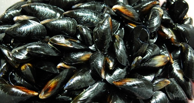 [명동치과 라임나무]토마토 수프 만드는 법, 고급진 음식을 간단히 만들어요 관련 이미지 5