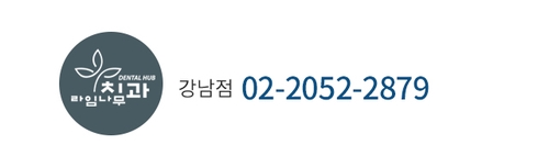 (6월진료일정) 현충일 및 공휴일진료 라임나무치과 일정안내 관련 이미지 3