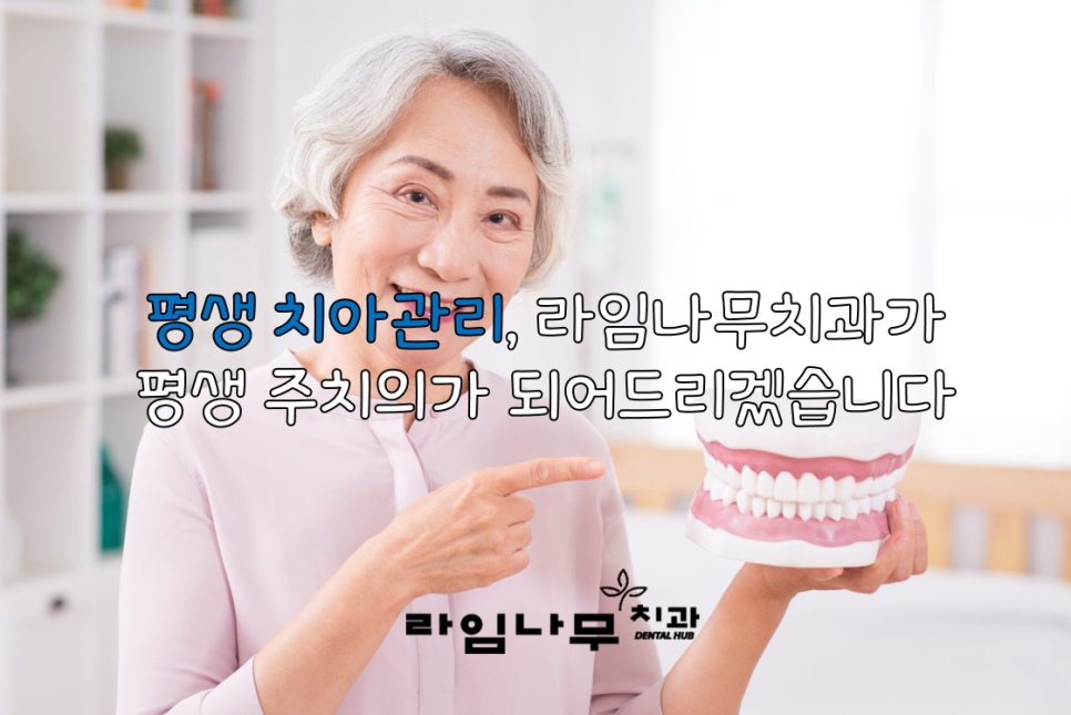 노년 시기 노인 틀니, 임플란트 와 치아관리법 알아봐요! 명동치과 라임나무 관련 이미지 6