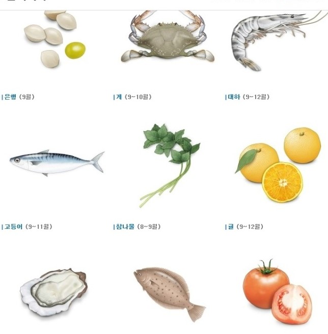 [명동치과 라임나무]9월 제철음식, 고등어, 대하, 토마토, 배 등이 있네요 관련 이미지 1