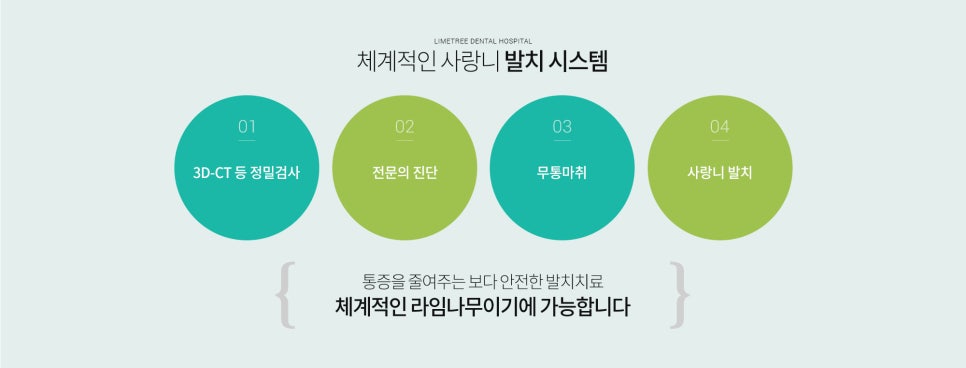 [명동치과] 사랑니 안뽑으면 어떻게 되나요? 신경과 근접한 매복사랑니 발치 가능한 라임나무치과 관련 이미지 5