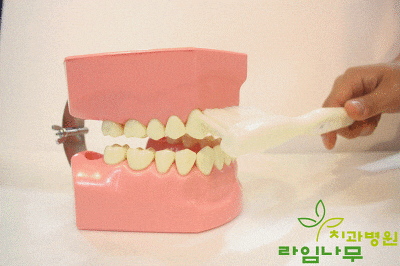다양한 칫솔질 방법! 상황에 맞는 나만의 칫솔질을 찾자! 관련 이미지 7