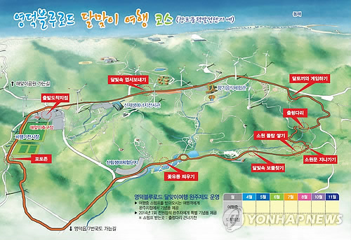 [명동치과]전국 걷기코스, 둘레길 넘어 올레길까지 한 번 알아볼까요 관련 이미지 7