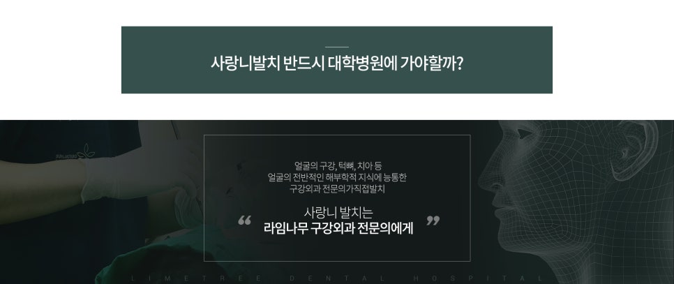 [명동치과] 사랑니 안뽑으면 어떻게 되나요? 신경과 근접한 매복사랑니 발치 가능한 라임나무치과 관련 이미지 4