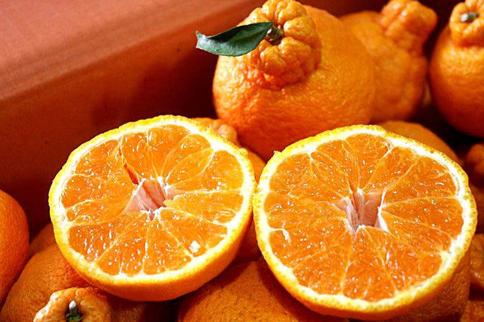 [명동치과]1월 제철요리, 어떤 것들이 있는지 알아봤어요 관련 이미지 3