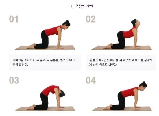 [명동치과]편안한 숙면을 위한 요가, 어떤 자세들이 있는지 알아볼까요 관련 이미지 2