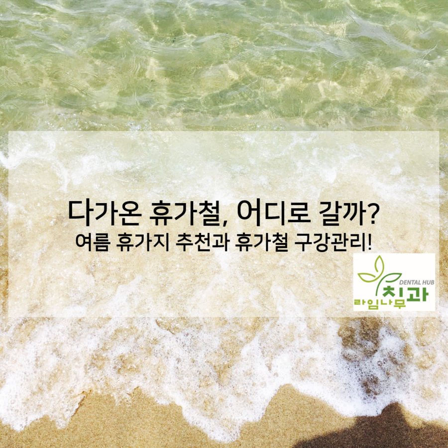 [명동치과 라임나무치과] 다가온 휴가철, 어디로 갈까? 휴가철 구강관리! 관련 이미지 1