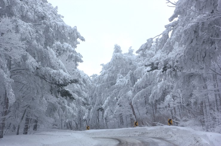 [명동치과]절기 대설, 오늘은 대설입니다 본격적 한겨울이 시작되었네요 관련 이미지 2