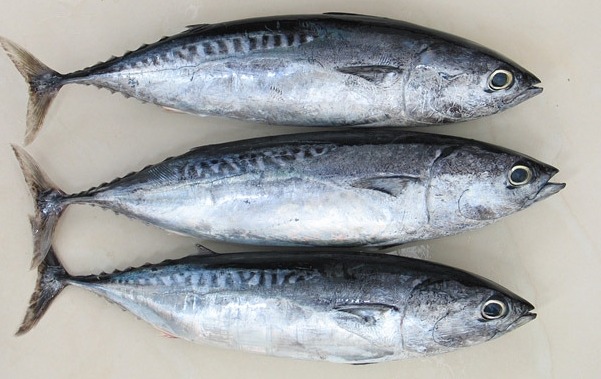 [명동치과]2월 제철 해산물, 제철 음식 드시고 건강 챙기세요 관련 이미지 1