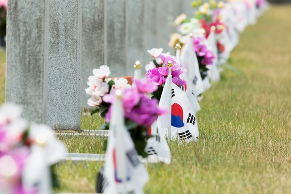 (6월진료일정) 현충일 및 공휴일진료 라임나무치과 일정안내 관련 이미지 4