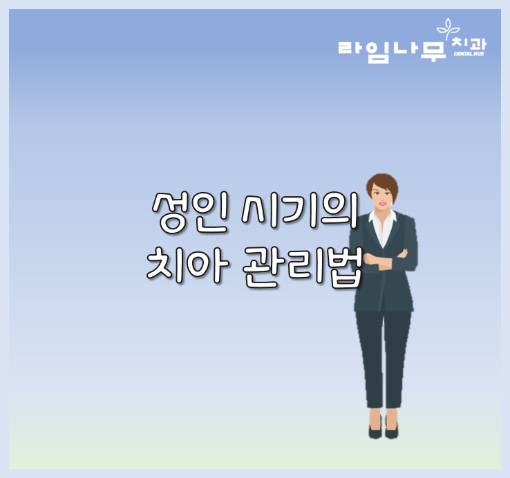 청소년, 성인 시기의 치아 관리법 중요한것은? 명동치과 라임나무 관련 이미지 4