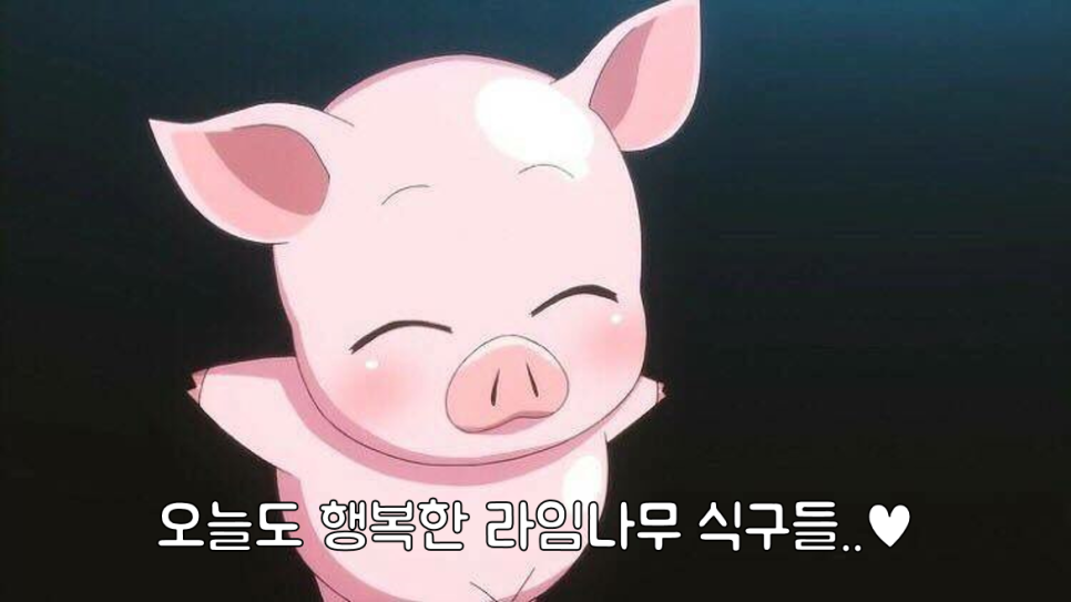 명동 라임나무치과 11월에 있었던 일♥ 관련 이미지 8