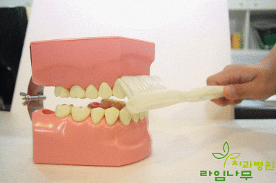 다양한 칫솔질 방법! 상황에 맞는 나만의 칫솔질을 찾자! 관련 이미지 2