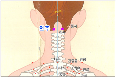 눈 피로에 좋은 지압법, 뜨거운 여름 눈건강 챙기세요 관련 이미지 2