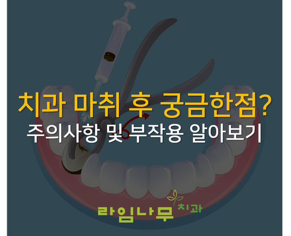 치과마취후 궁금한점? 주의사항과 부작용 알아보기 무통마취 명동치과 라임나무 관련 이미지 1