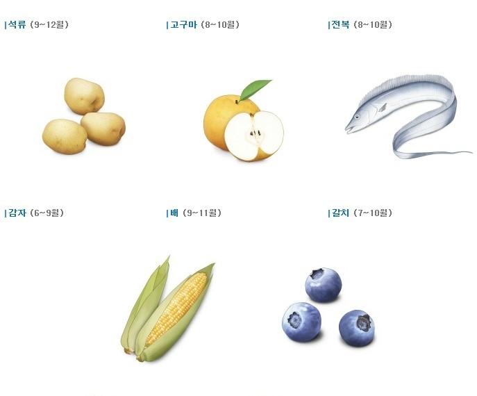 [명동치과 라임나무]9월 제철음식, 고등어, 대하, 토마토, 배 등이 있네요 관련 이미지 2