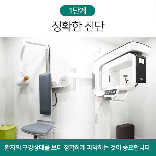 예진시스템을 통하여 신뢰를 쌓는 명동치과, 라임나무 관련 이미지 2