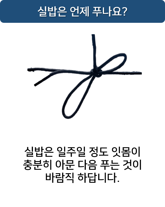 사랑니실밥 언제푸나요? 풀렸을때? 명동치과 라임나무 관련 이미지 3