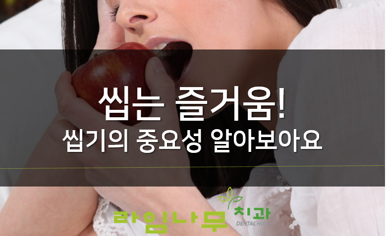 씹는 즐거움! 씹기의 중요성 알아보아요 명동치과 라임나무치과 관련 이미지 1