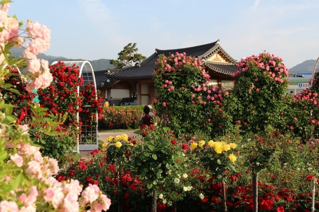 5월 축제정보, 미리 알아보고 놀러가세요 관련 이미지 4