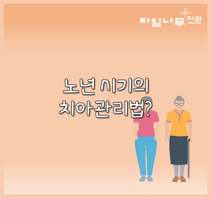 노년 시기 노인 틀니, 임플란트 와 치아관리법 알아봐요! 명동치과 라임나무 관련 이미지 2