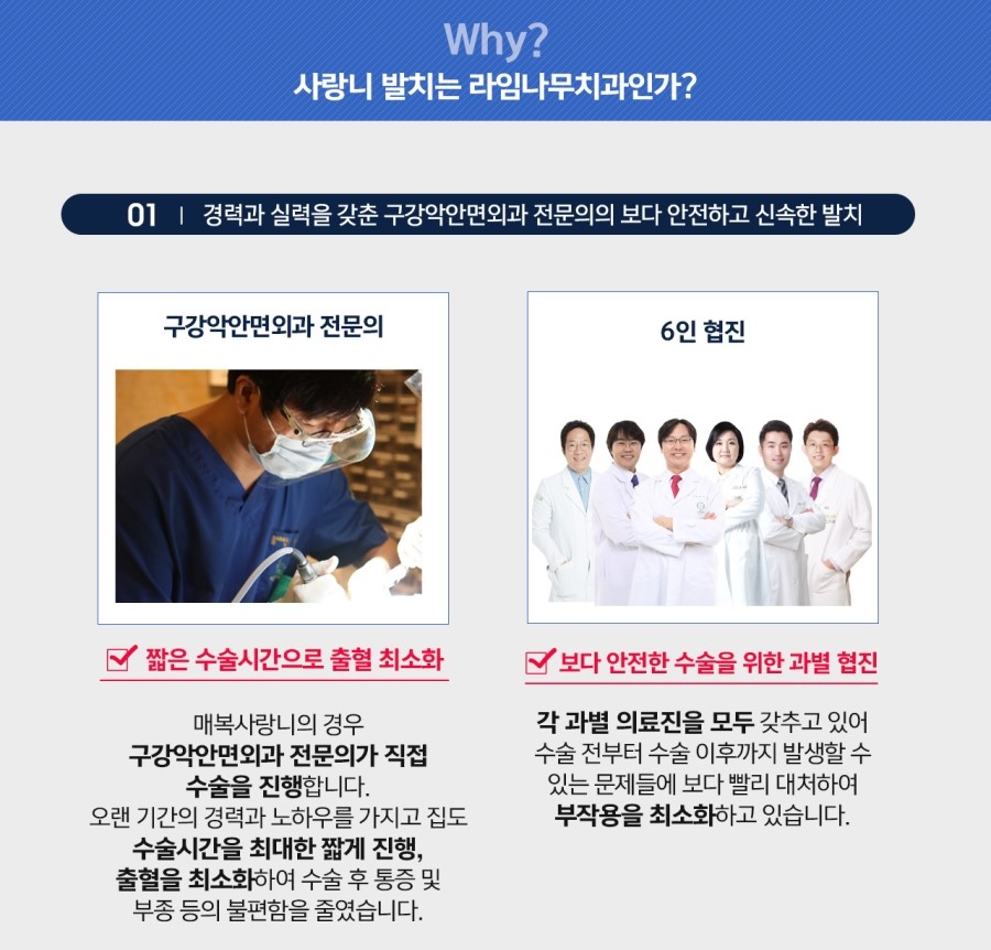명동사랑니발치 라임나무치과에서 안전하고 편안하게 관련 이미지 4