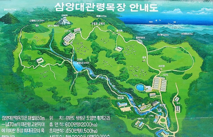 [명동치과]강원도 바람의 언덕, 날씨 좋은 가을날 나들이 어떠세요 관련 이미지 1