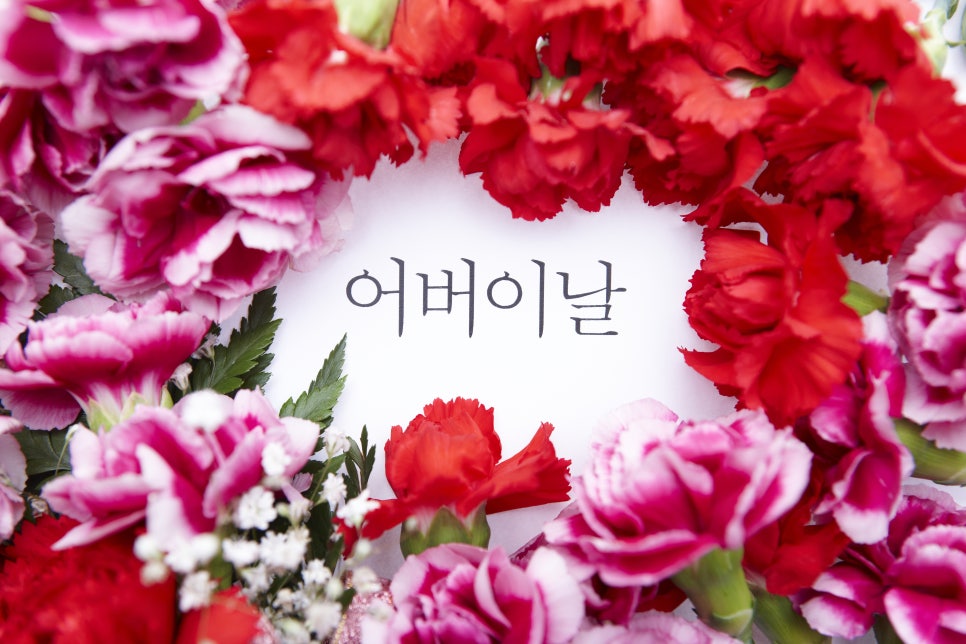 라임나무치과 오시면 5월8일 어버이날 카네이션드려요 관련 이미지 2